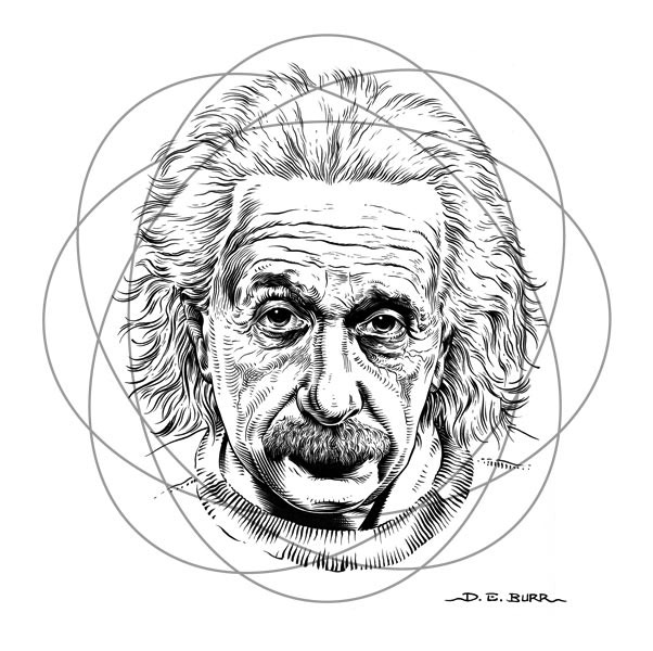 Albert Einstein line art portrait illustration