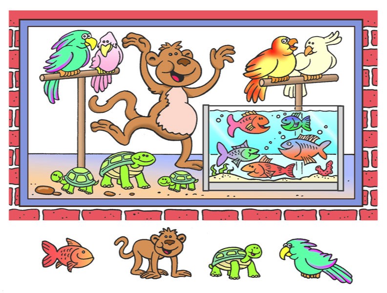 pet shop animals color line art childrens illustration